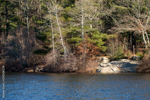 Fotografie, Obraz Pond bank in winter. Cleveland pond in Ames Nowell State Park