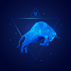 vector of taurus horoscope sign in twelve zodiac with galaxy stars background, vector of polygon bul