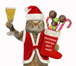 The cat in Santa Claus outfit holds a glass of wine and a the Christmas stocking with sweet gifts. White background.
