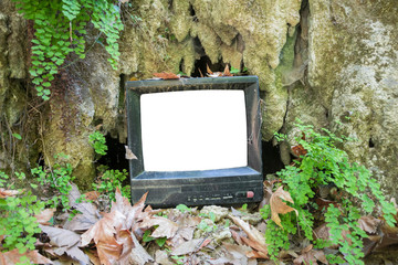Vintage old television on the floor at garden park, classic TV -with blank white screen