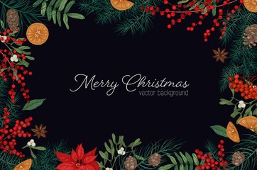 elegant frame or border made of branches and cones of fir and spruce trees, mistletoe berries and le