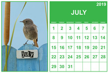July 2019 Calendar On English With A Bird Perched On A July Decorated Fence, Landscape Orientation