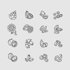 Wall Mural - Vector icon and logo for nuts and seeds. Editable outline stroke size. Line flat contour, thin and linear design. Simple icons. Concept illustration. Sign, symbol, element.