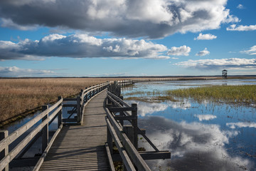 Poster - Wooden path to the lake.