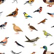 Seamless pattern with wild forest birds on white background. Backdrop with avians. Ornithological vector illustration in modern geometric flat style for wrapping paper, fabric print, wallpaper.
