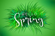 © catary - vector illustration of spring banner template with hand lettering phrase - hello spring - on a background of grass and leaves