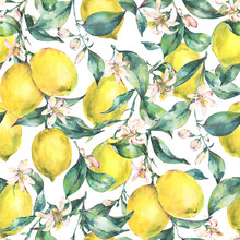 Watercolor Vintage Seamless Pattern, Branch Of Fruit Lemon