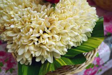 Wall Mural - Fragrant hei necklace made with fresh tiare flowers in Tahiti, French Polynesia