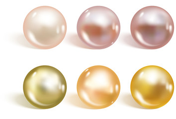 Wall Mural - Realistic different colors pearls set. Round colored nacre formed within the shell of a pearl oyster, precious gem. Vector illustration