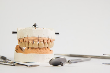 Clay mold human gums model in jaws prosthetic laboratory