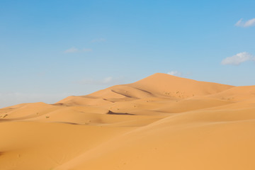 sahara desert