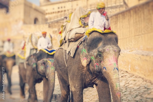 Fotografía Decorated elephants in Jaleb Chowk in Amber Fort in Jaipur, India