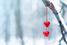 Red Hearts On Snowy Tree Branch In Winter. Holidays Happy Valentines Day Celebration Heart Love Concept.