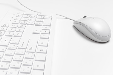 Computer mouse and keyboard