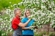 © kaninstudio - Farmer and scientist in apple garden with blossom background. agriculture and gardening concept.