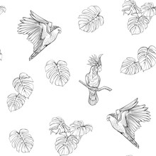 Seamless Pattern, Background With Tropical Birds