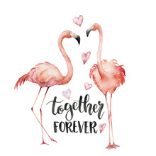 Watercolor Together Forever Card. Hand Painted Flamingo Couple With Hearts And Lettering Isolated On White Background. Holiday Illustration For Design, Print, Background. Love Concept