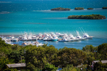 Wall Mural - Multiple boats docked at bay of Puerto Rico