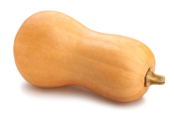 Wall Mural - butternut squash