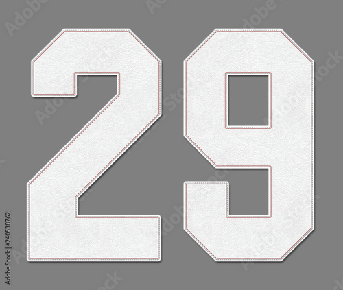 jersey number 29
