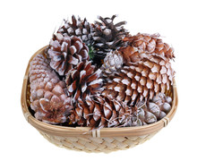 Christmas Pine And Fir Cones In A Basket Isolated