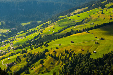 Wall Mural - Summer time mountain nature panoramic landscape near Habkern, Switzerland