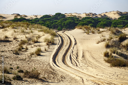 Plakat Ślady kół na piasku pustyni