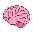 © yESvideo.com.ua - Pink illustration of a human brain