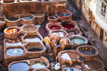 A Moroccan man working with animal hides in the leather tannery. Medina of Fez, Morocco.