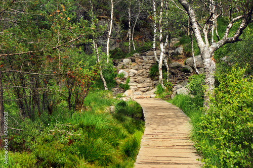 Wooden planks road to Preikestolen, Norway Tableau sur Toile