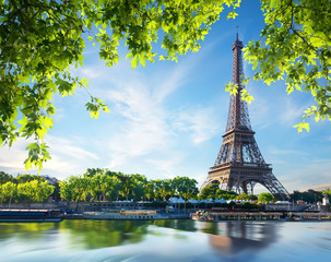 Fototapete - Majestic Eiffel Tower
