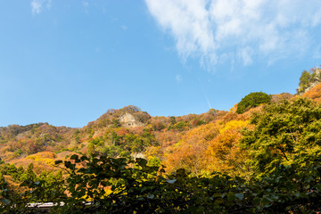 Wall Mural - Autumn leaves of mountains in Japan / Daigo-town, Kuji-district, Ibaraki prefecture, Japan