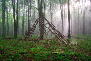 Mysterious and mystical primitive bushcraft shelter in the fog and sunlight in a moss covered hardwood forest. 