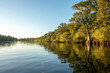 Suwanneee River, Gilchrist County, Florida