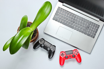 Wall Mural - Black and red gamepads, pot with houseplant, laptop on gray paper background. Video game, millennial. Minimalism, top view..