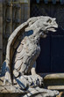 Notre dame gargoyle with wings