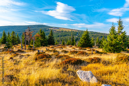 Fotomural Green forest landscape with Velky Sisak and Vysoke Kolo Mountain, Giant Mountains, Krkonose, Czech Republic