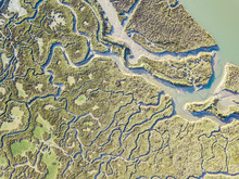 Aerial View Of Marshland