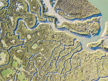 Aerial View Of Swamp