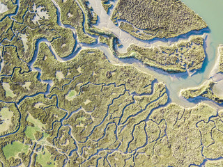 Wall Mural - aerial view of swamp