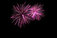 Pink Fireworks With Copy Space