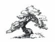 Branched deciduous tree. Bonsai ink drawing.