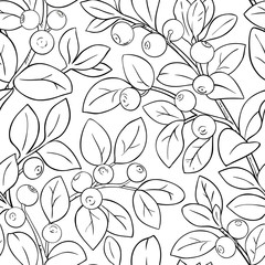 Poster - bilberry vector pattern