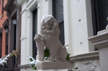 Lion Guards The Stoop
