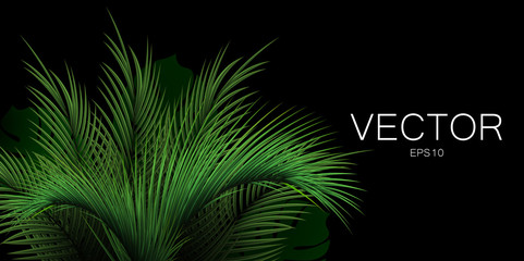 Realistic vector palm leaf on black background with place for text. 