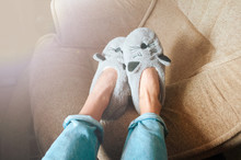 Gray Cat Face Slippers
