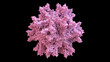 3D CG rendered image of scientifically accurate Avian Infectious Bursal Disease Virus (IBDV) Capsid Structure based on PDB : 1WCD (surface style)