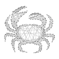  Crab animal sea seafood from abstract futuristic polygonal black lines and dots. Vector illustration.