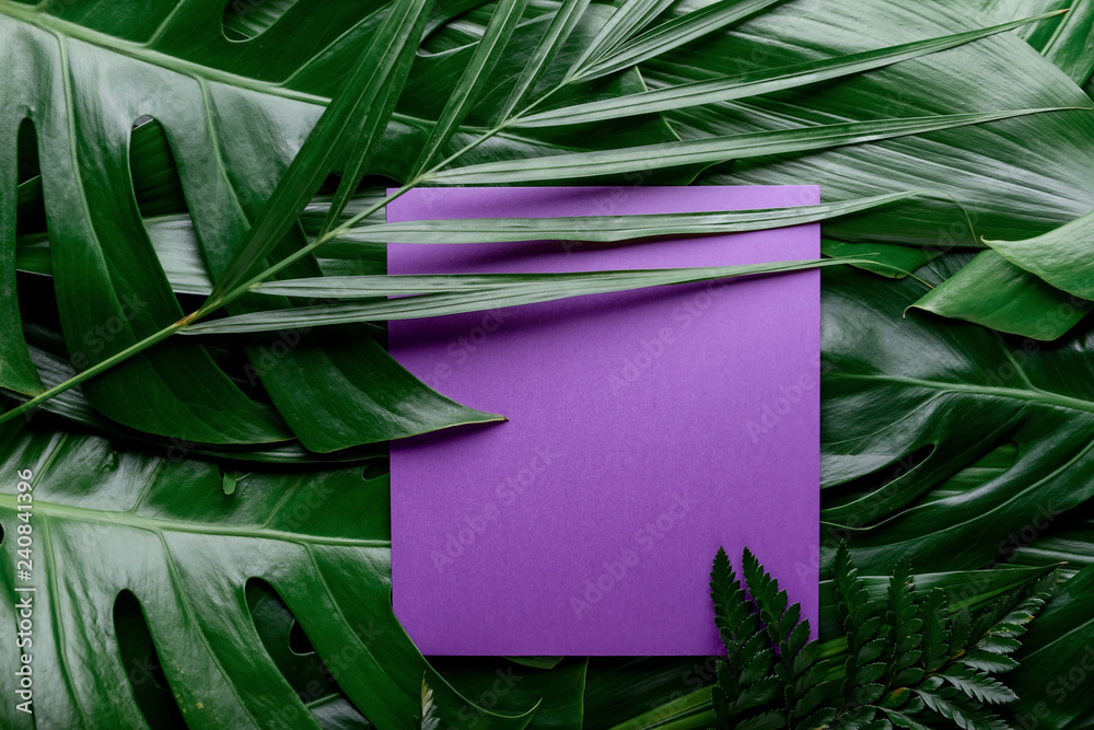 Blank card on green tropical leaves