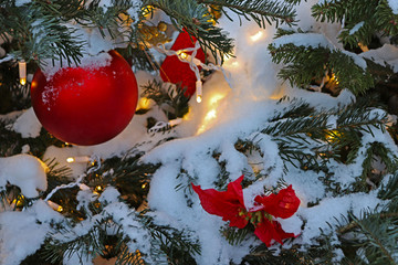 large red ball and red poinsettia on natural green, a lot of snow, light lanterns